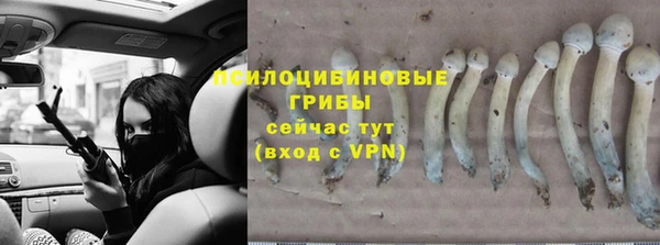 2c-b Куйбышев
