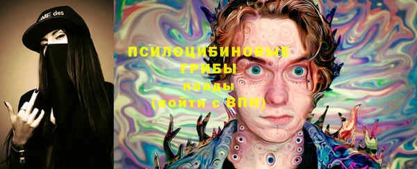 2c-b Куйбышев