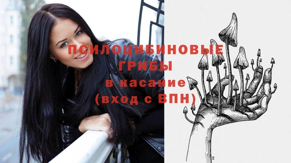 2c-b Куйбышев