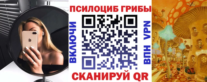 Псилоцибиновые грибы GOLDEN TEACHER  цена   MEGA маркетплейс  Лодейное Поле 