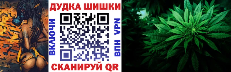 наркота  Лодейное Поле  Канабис сатива 